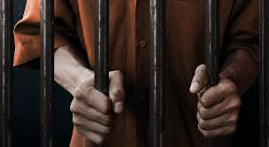 Local Bail Bondsman's Local Bail Bondsman's